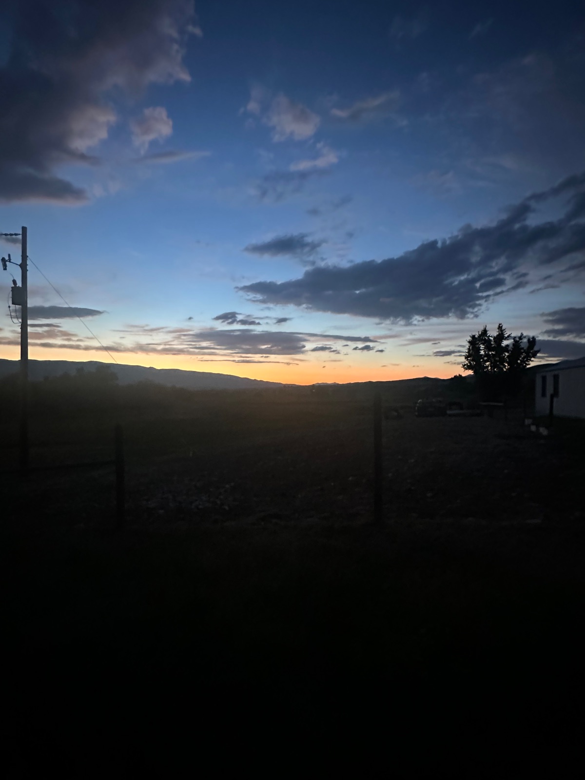 Will Mudd's walk