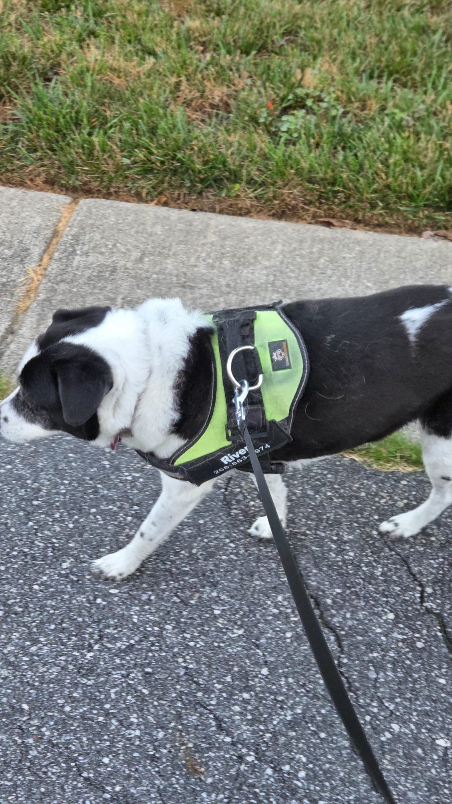Patrick C's walk