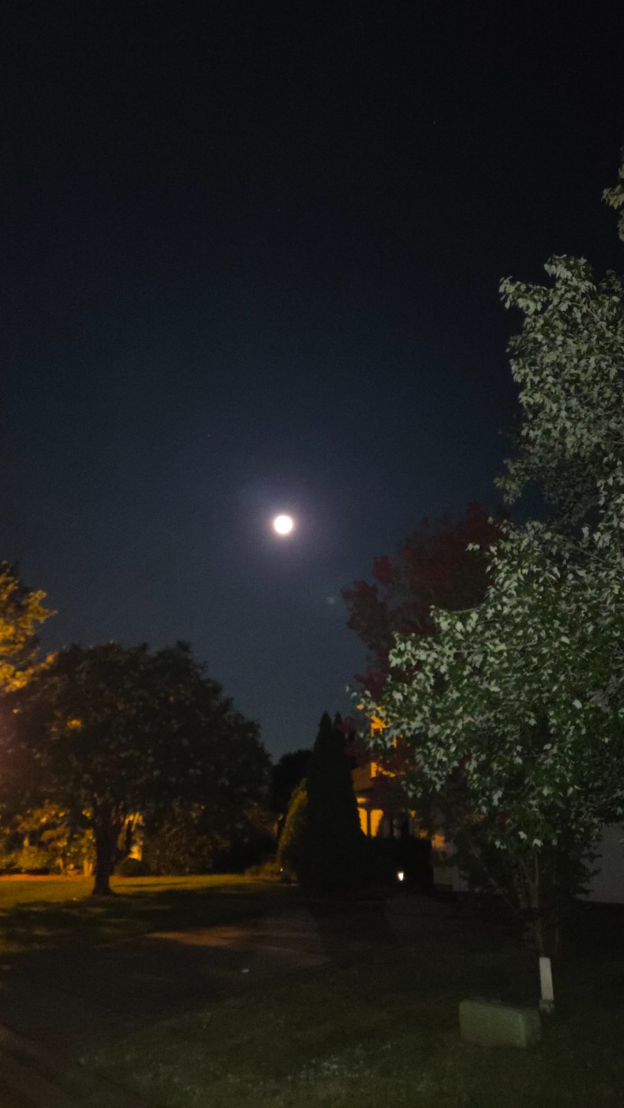 Patrick C's walk