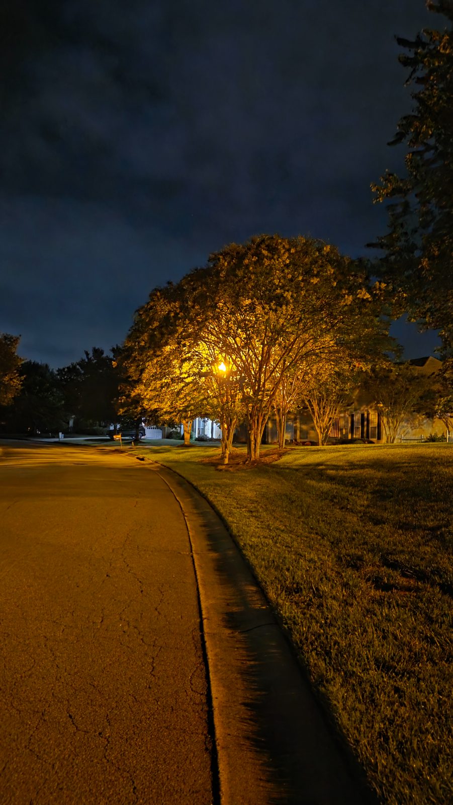 Patrick C's walk