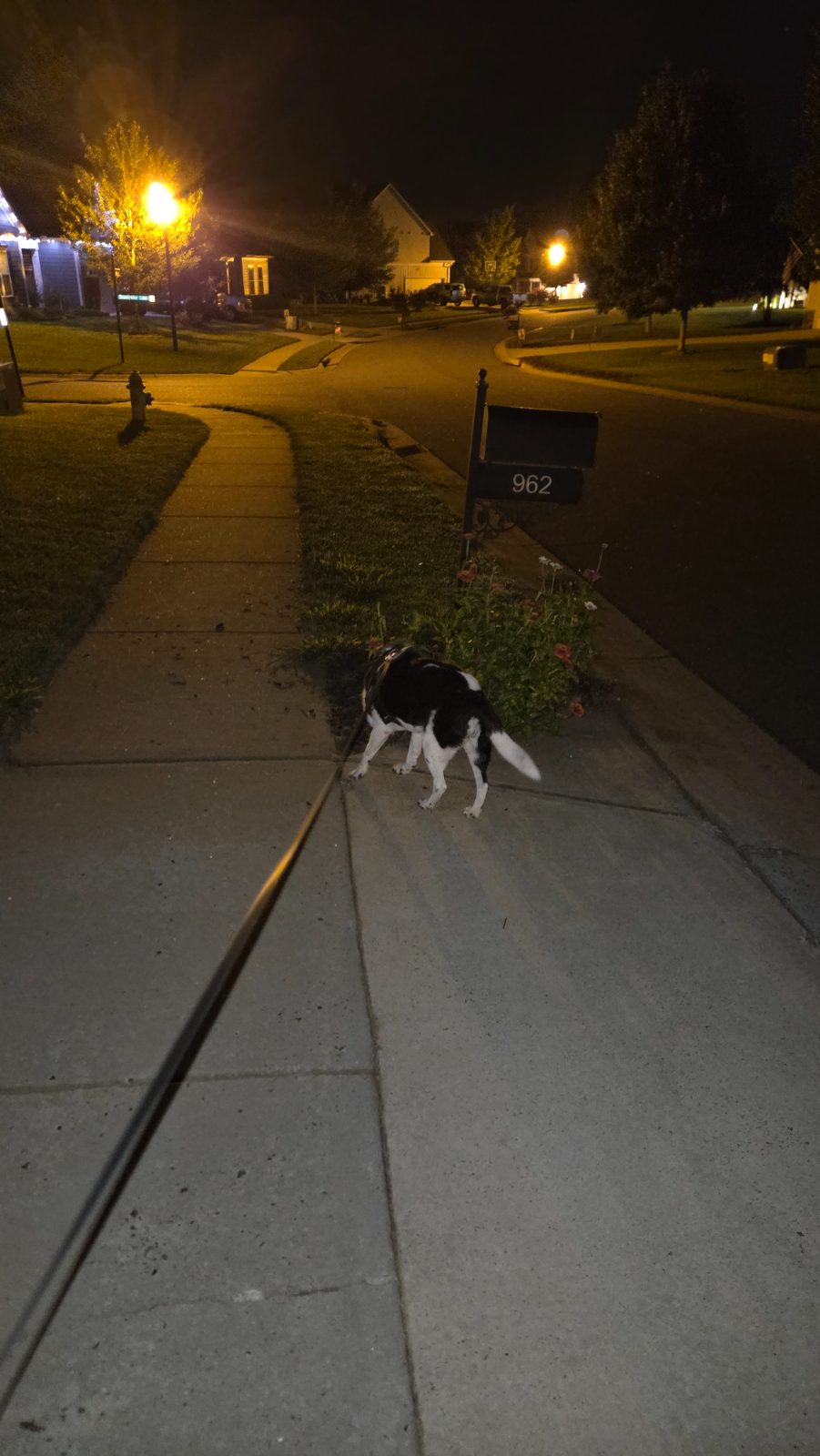 Patrick C's walk