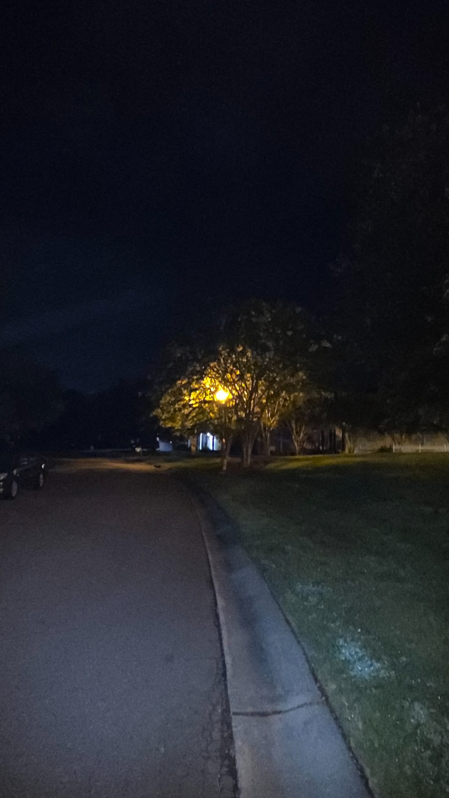 Patrick C's walk
