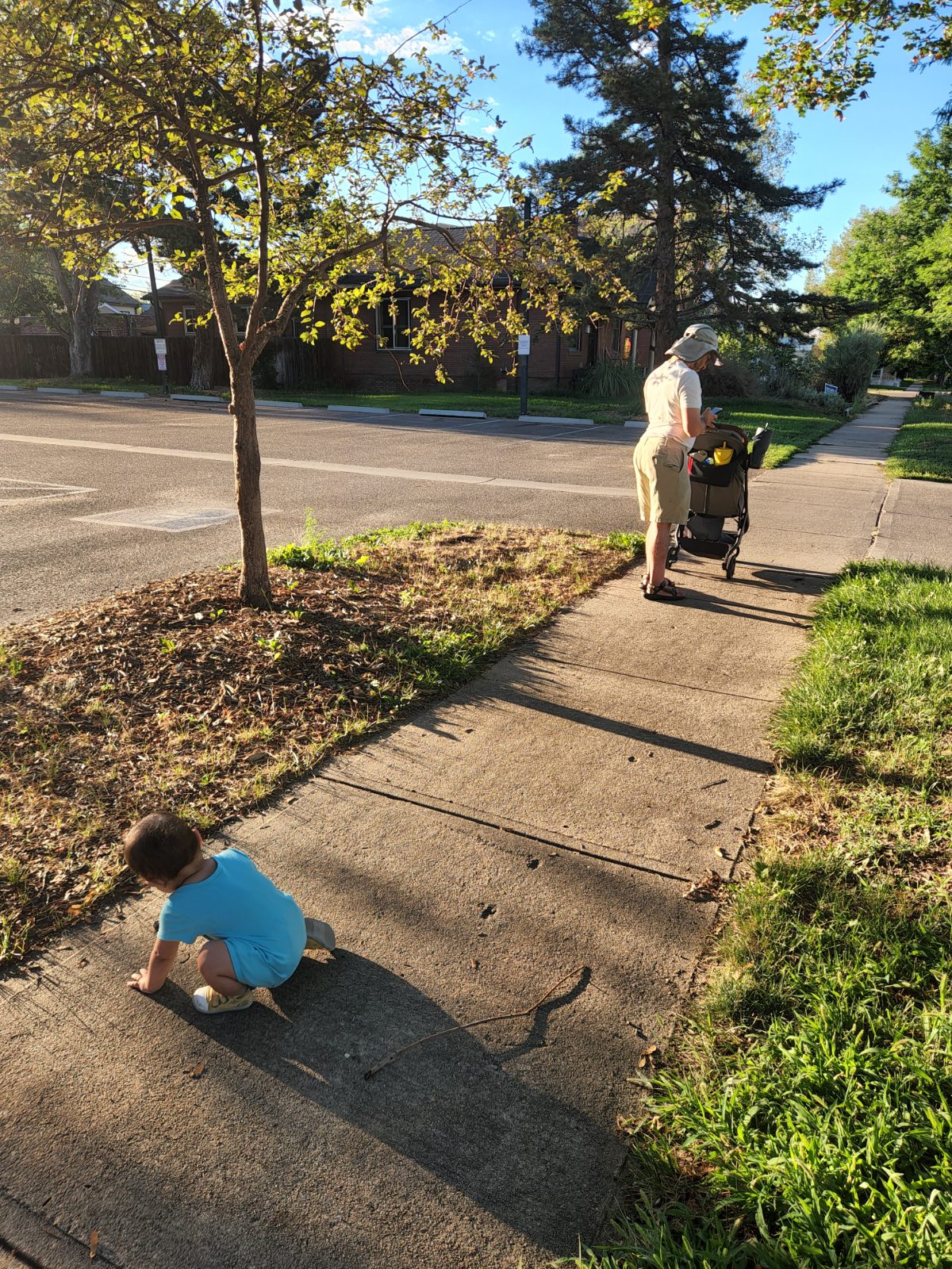 Bobbi's walk