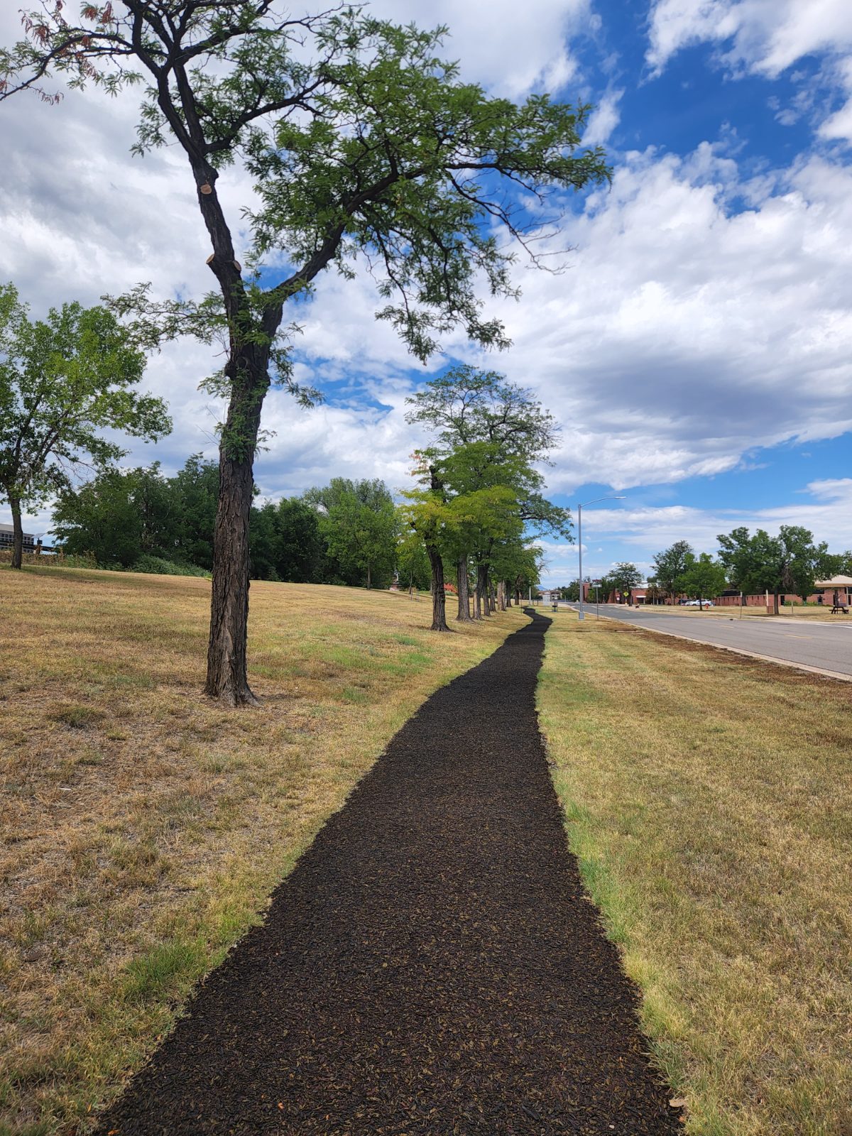 Bobbi's walk