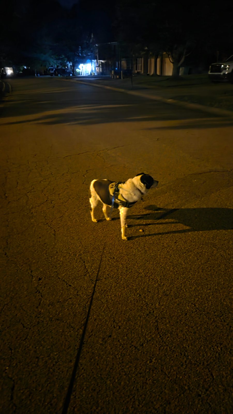 Patrick C's walk