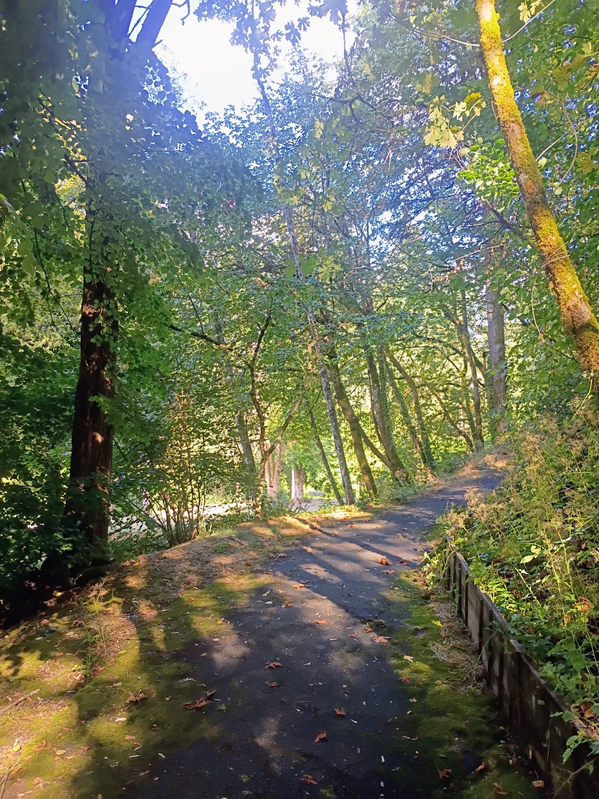 Jonathan Lindley's walk