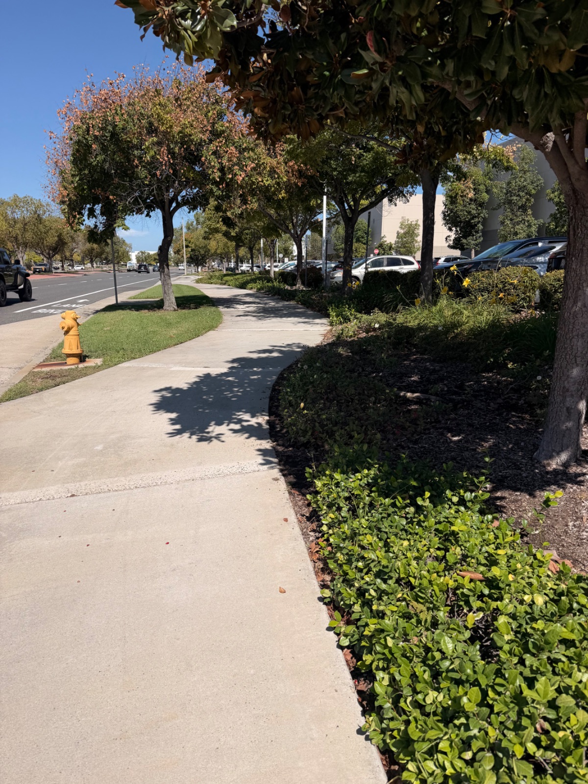 Marissa R's walk