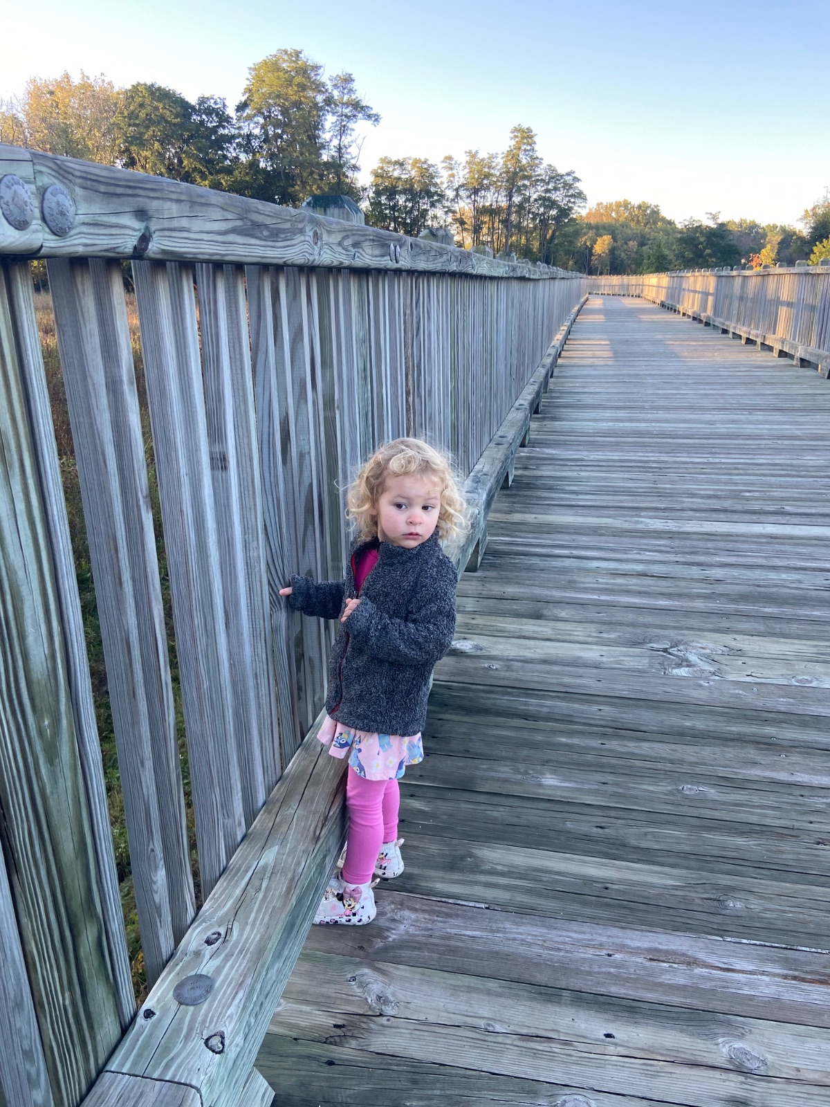 Amanda LR's walk